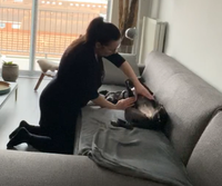 Hondenmassage Dinah